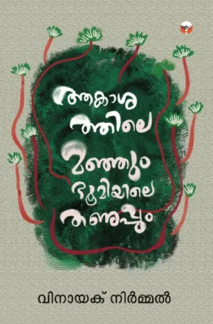 ആകാശത്തിലെ മഞ്ഞും ഭൂമിയിലെ തണുപ്പും